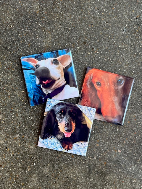 2x2 Custom Photo Magnets